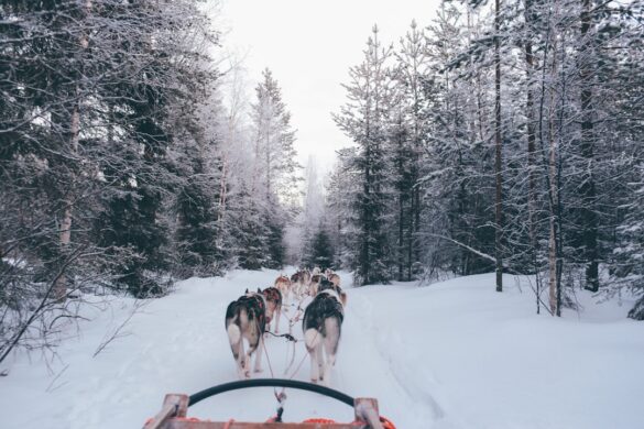 Queenstown winter festival activities