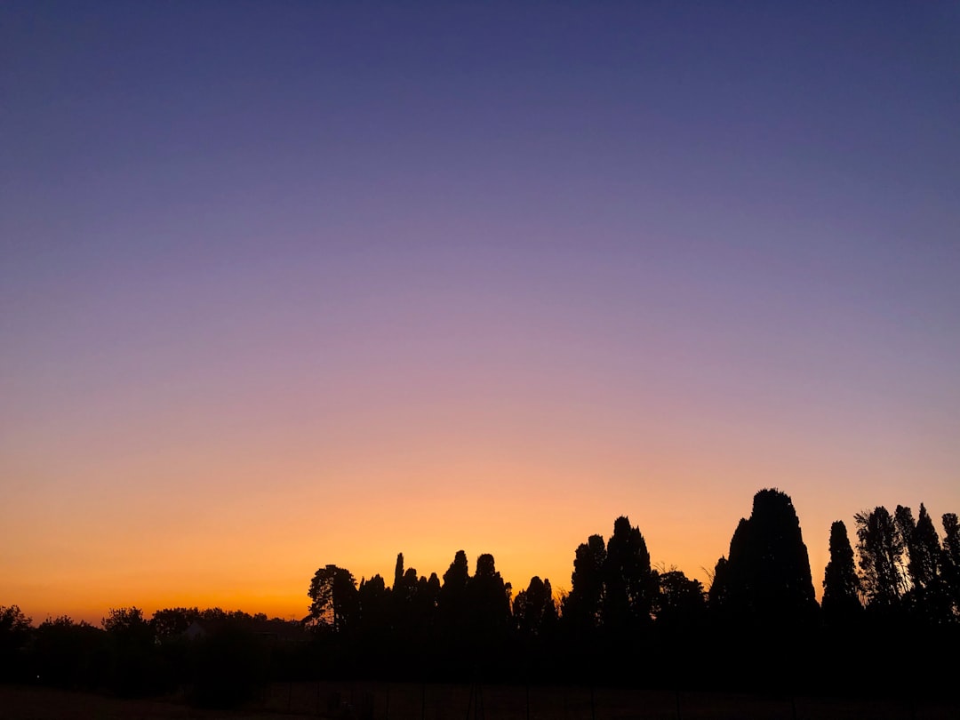 Vibrant landscapes of Provence