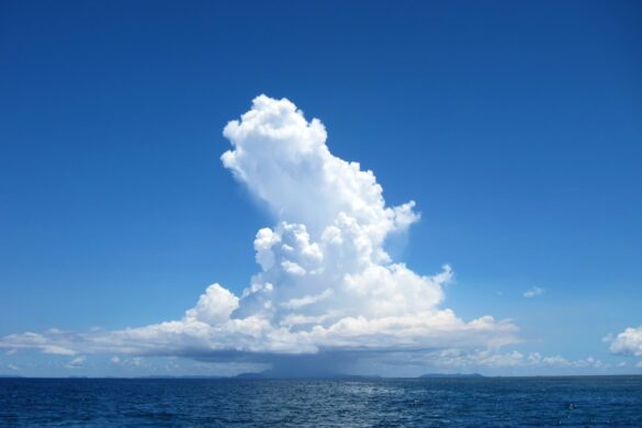 Okinawa cultural festival picture