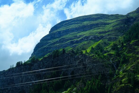 Traditional Swiss dish presentation