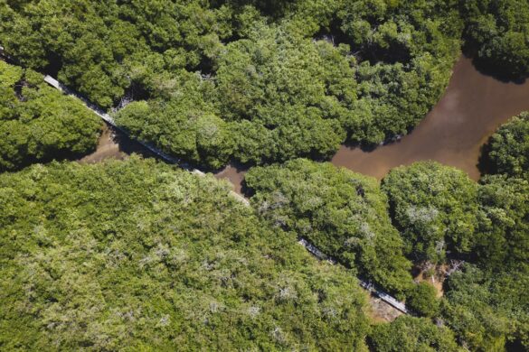 photo-1643400814864-ad7ed86ff40f.jpg Natural beauty in Costa Rica