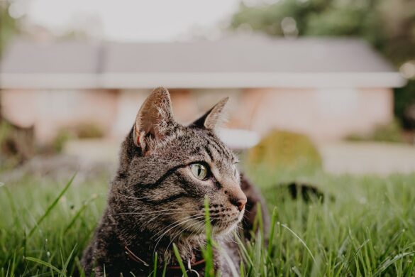 Relaxing in natural hot springs with volcano background