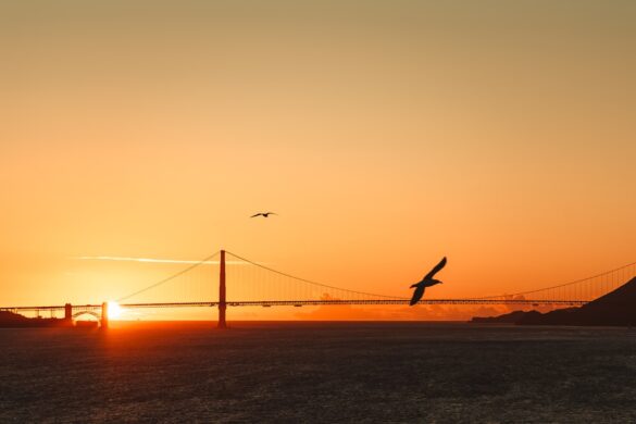Alcatraz Island view
