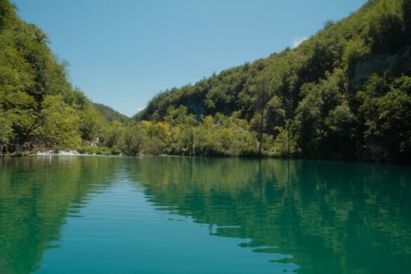 Wine tasting experience in Croatian vineyard