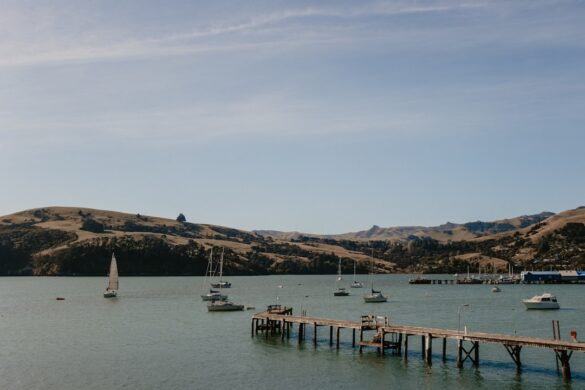 Charming Akaroa harbor in New Zealand