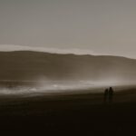 Assateague Island wild ponies