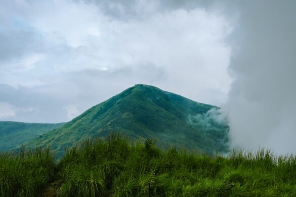 Ayurvedic treatments in Kerala