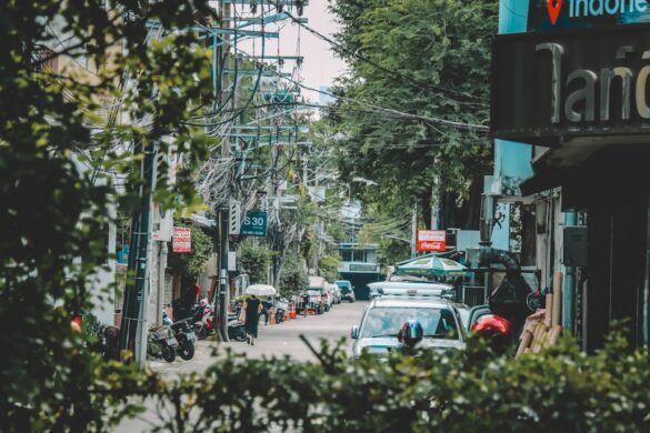 photo-1699986596772-a4e66da13c9b.jpg Engaging cooking class to learn Thai dishes