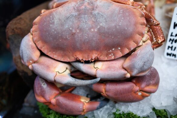 Dining at Ministry of Crab in Colombo