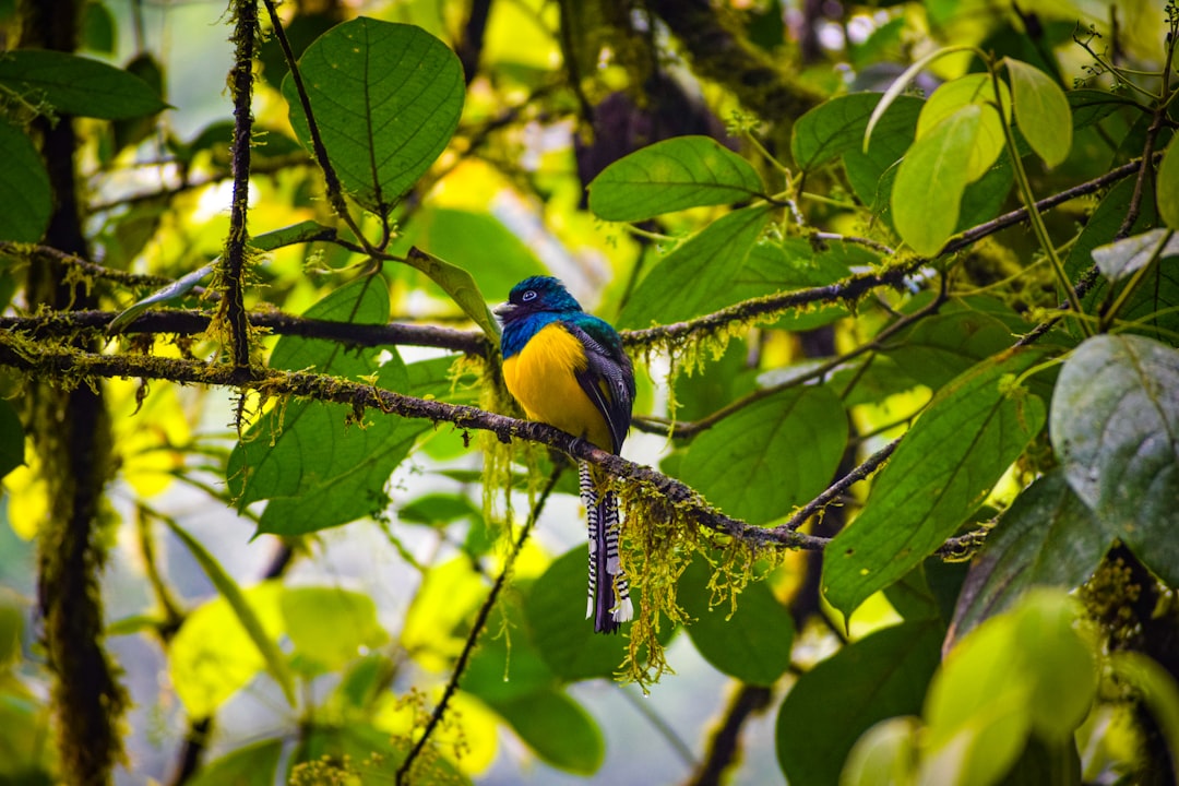 Cultural experiences in Costa Rica