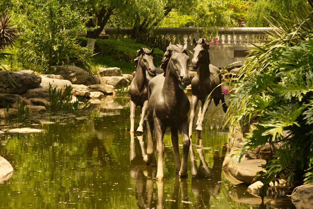 Beautiful landscapes of Yunnan, China