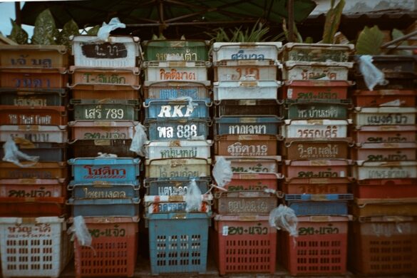 Educational Opportunities in Thailand