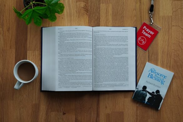 photo-1595101158824-7e2bacf0ec77.jpg Gourmet Seafood Platter in Christchurch