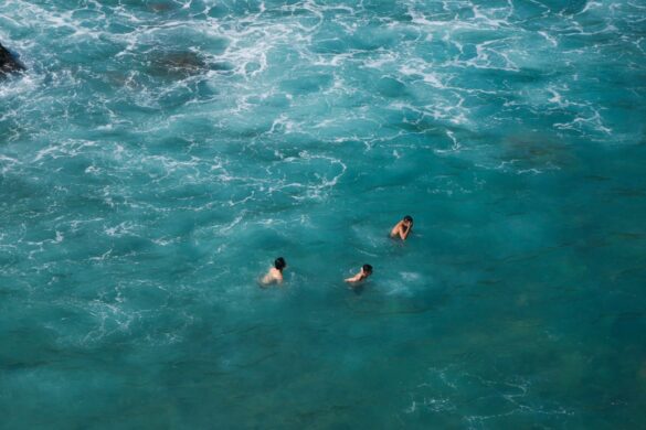 Swim with whale sharks in Holbox