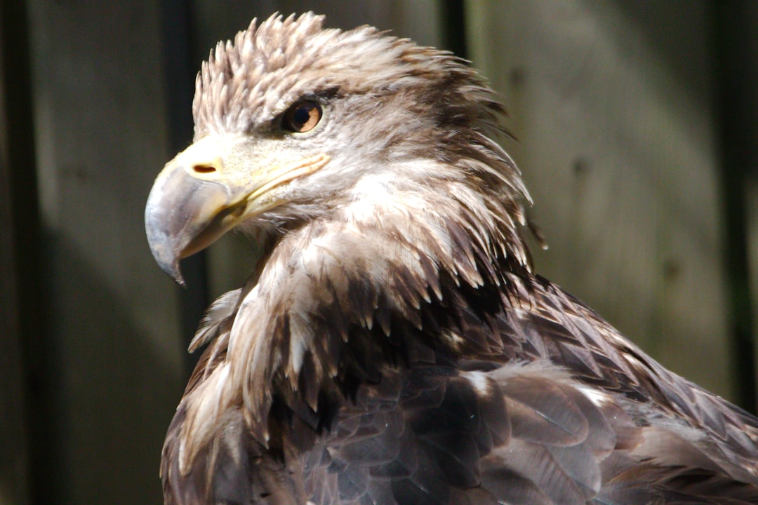 Discover hidden wonders across Canada.