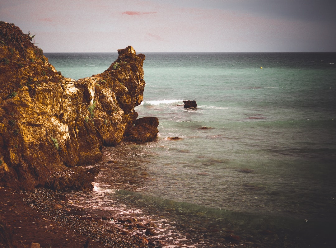 Highlighted dishes from Costa Rica in 2025