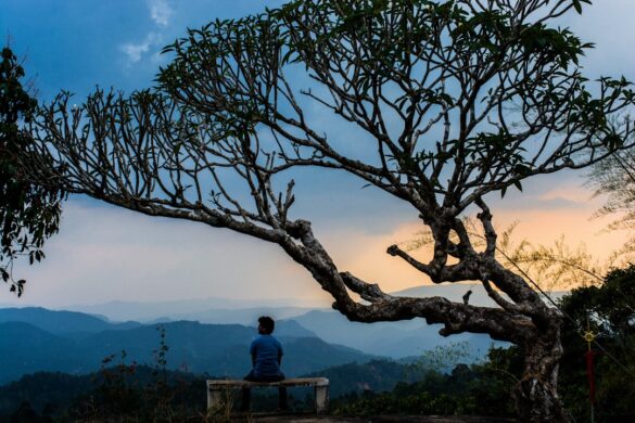 Attukal Waterfalls in Munnar