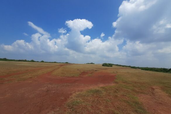 Traditional Sri Lankan desserts on display