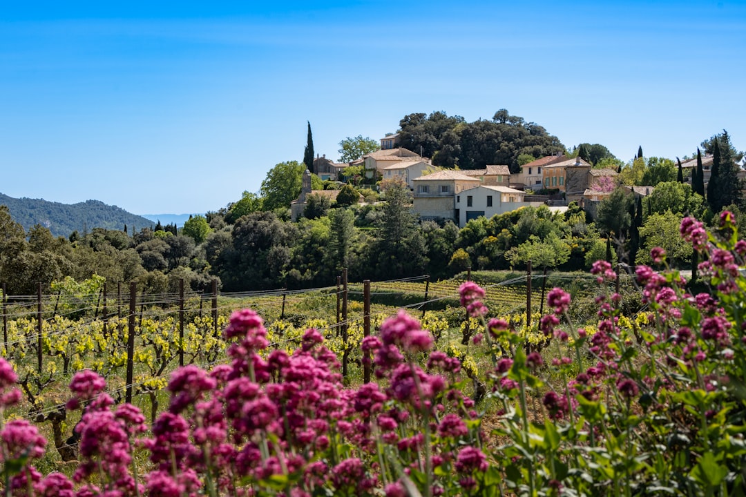 Scenic view of Provence landscapes
