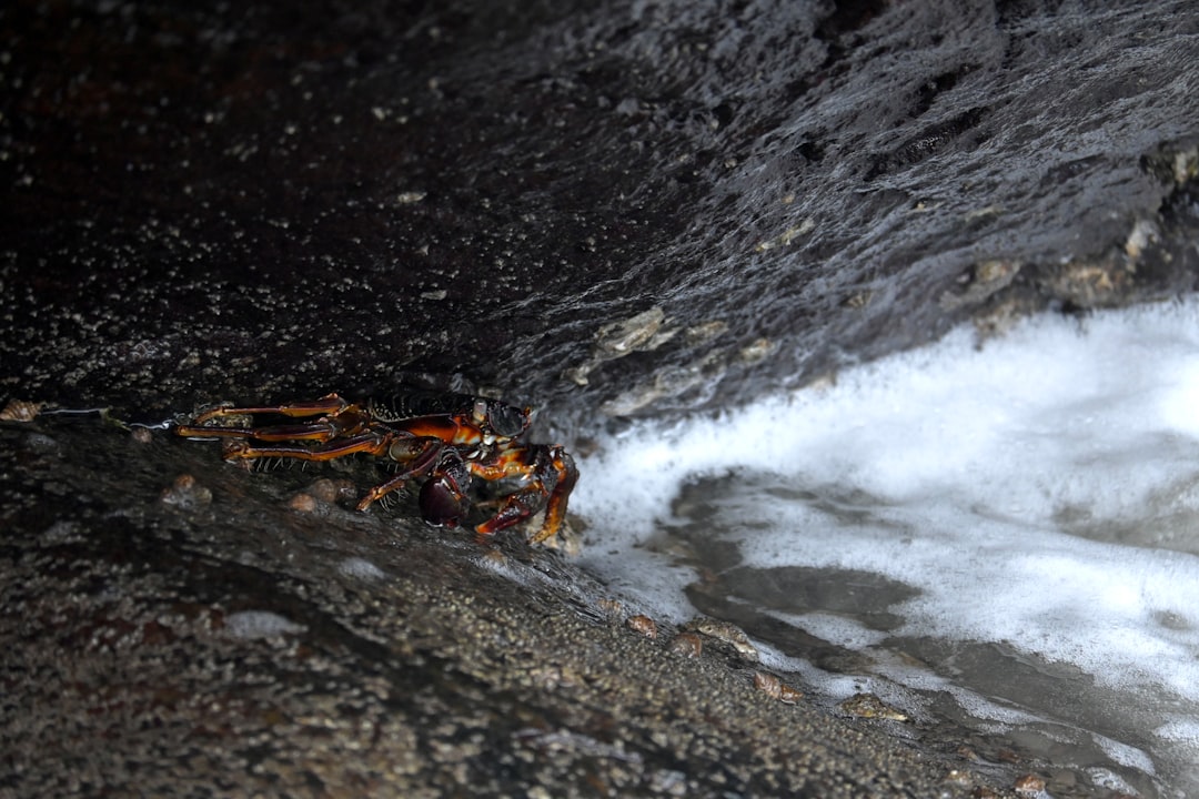 Exploring Kerala's hidden natural wonders