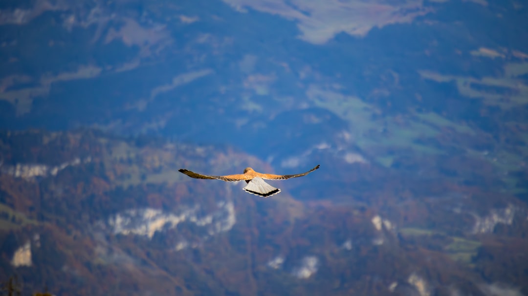 Stunning views across Switzerland.