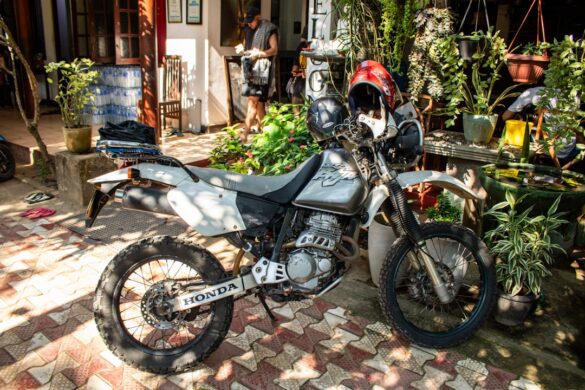 Engaging cooking class experience in Sri Lanka.