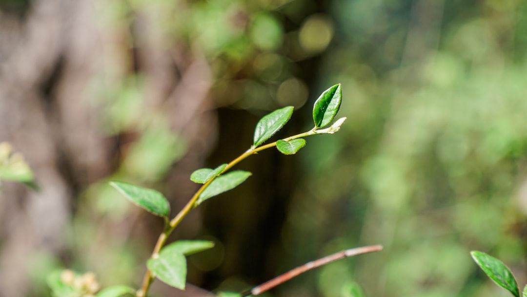 Charming Villages in France