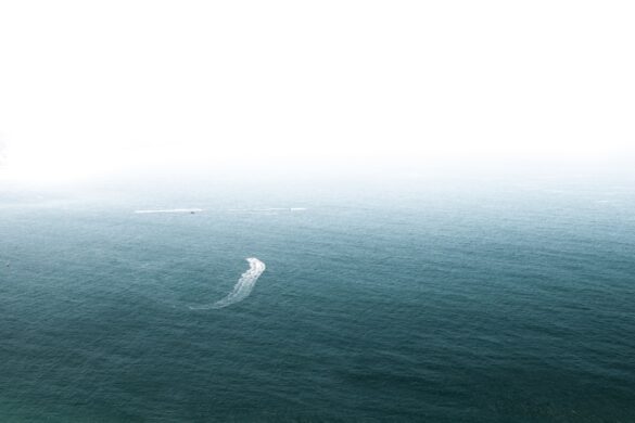 Visitors enjoying a culinary tour in Portugal
