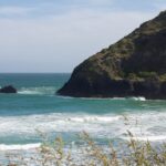 Culinary delights in New Zealand
