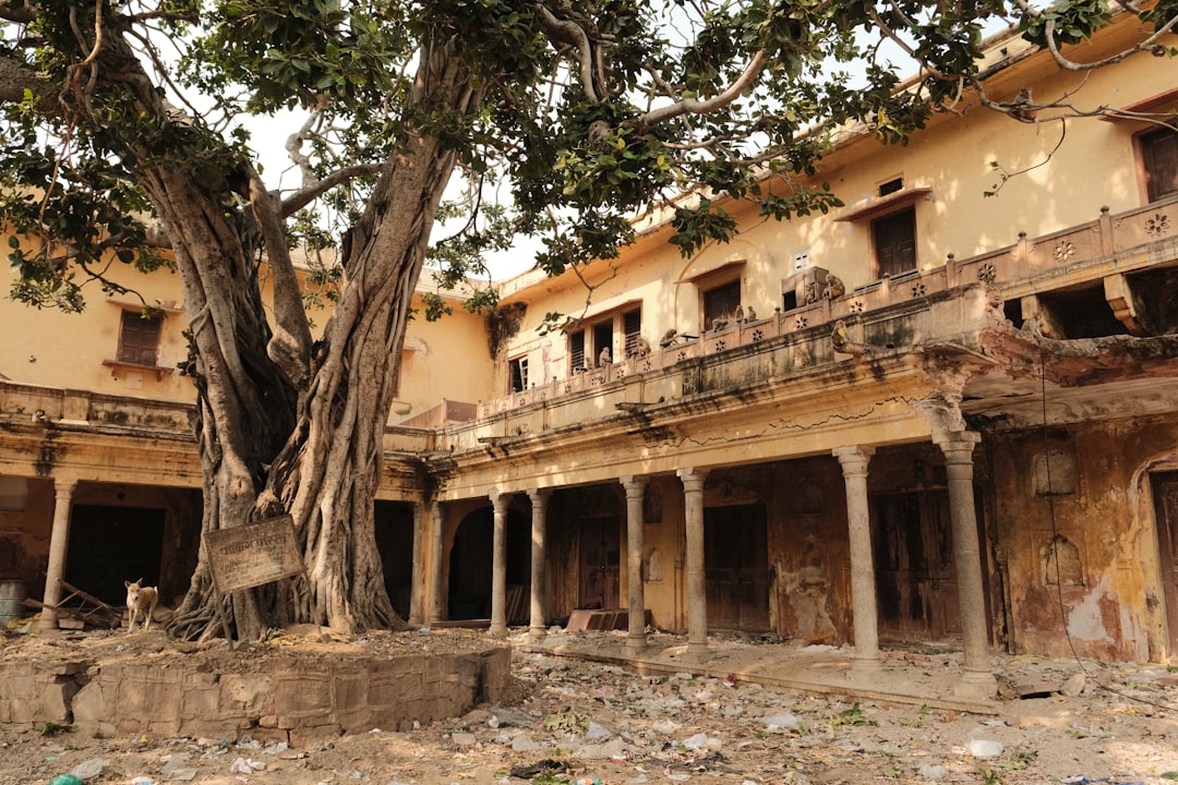 Exploring the beauty of India