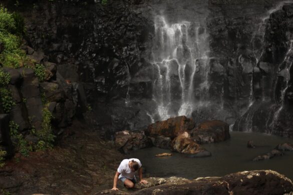 Stunning cenote in Tulum surrounded by nature.