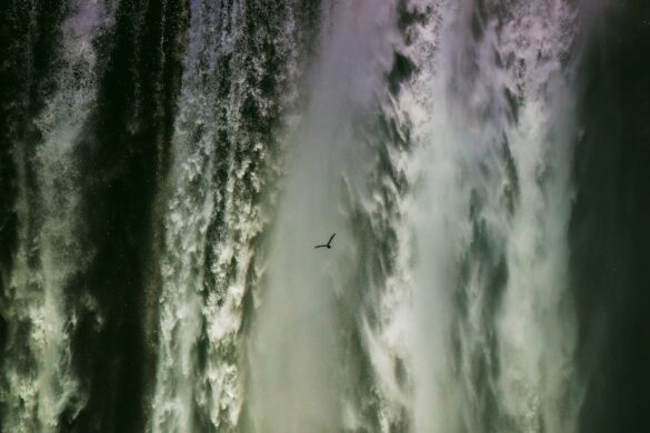 Jet d'Eau fountain in Geneva