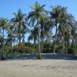 Beautiful tropical beach in Manuel Antonio National Park.