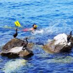 Snorkeler in Cahuita National Park