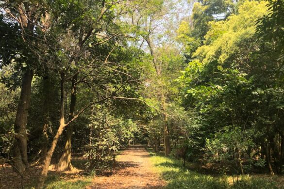Visitors hike the trails of Manuel Antonio.