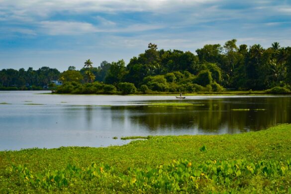 Beautiful landscape of Corcovado National Park.