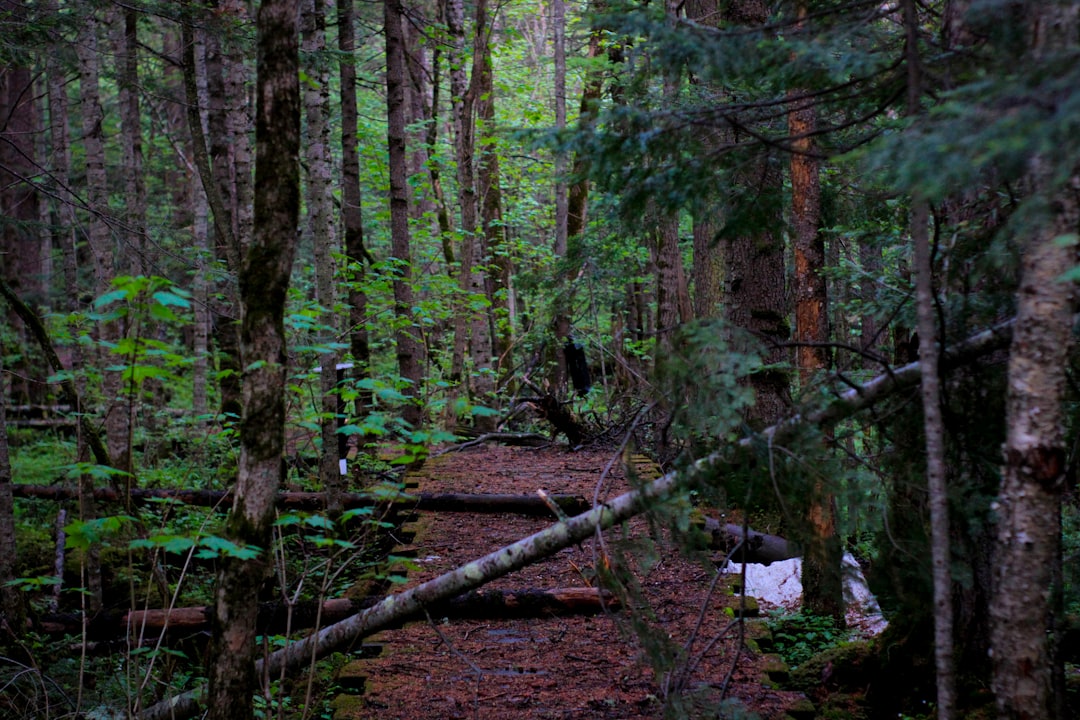 Breathtaking hidden trails across Canada for exploration.
