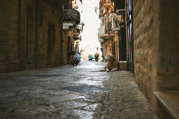 Visitors exploring the streets of Cefalù.