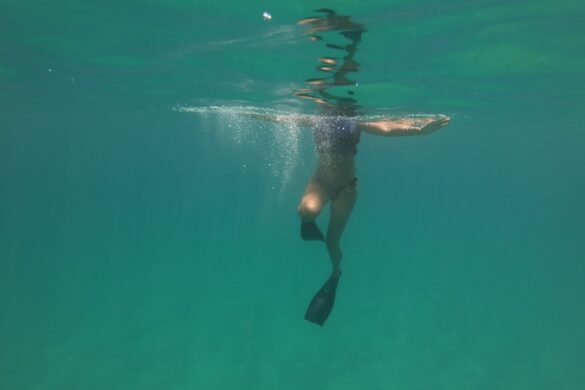 Snorkeling in La Guadeloupe National Park