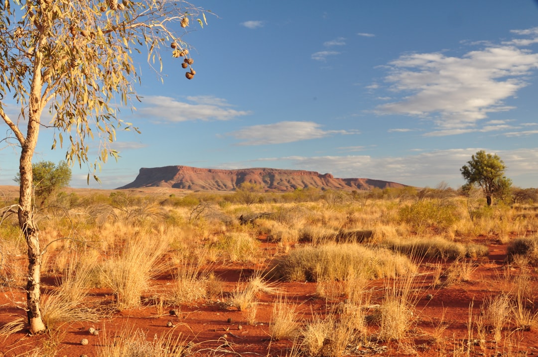 Unique Indigenous customs in Australia.