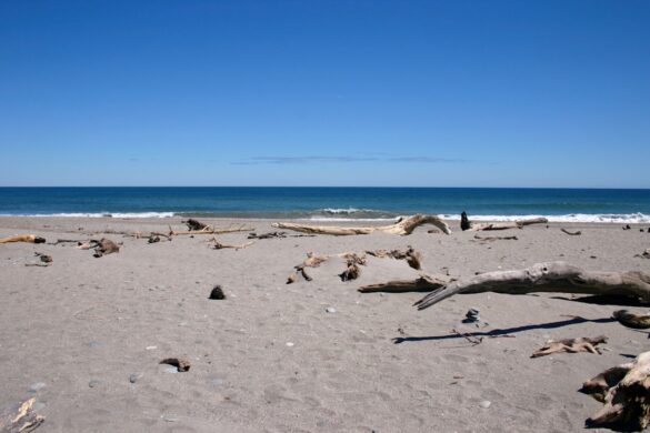 Beautiful beach at Coromandel Peninsula during sunset