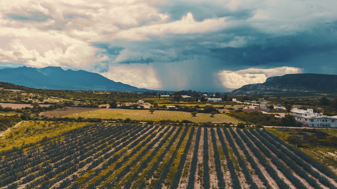 Scenic view of Oaxaca's traditional architecture.