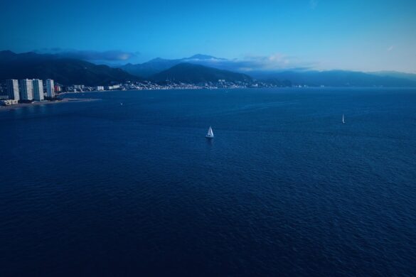 Cannes festival event