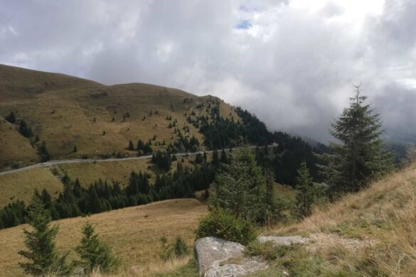 Scenic hiking trails in Picos de Europa.