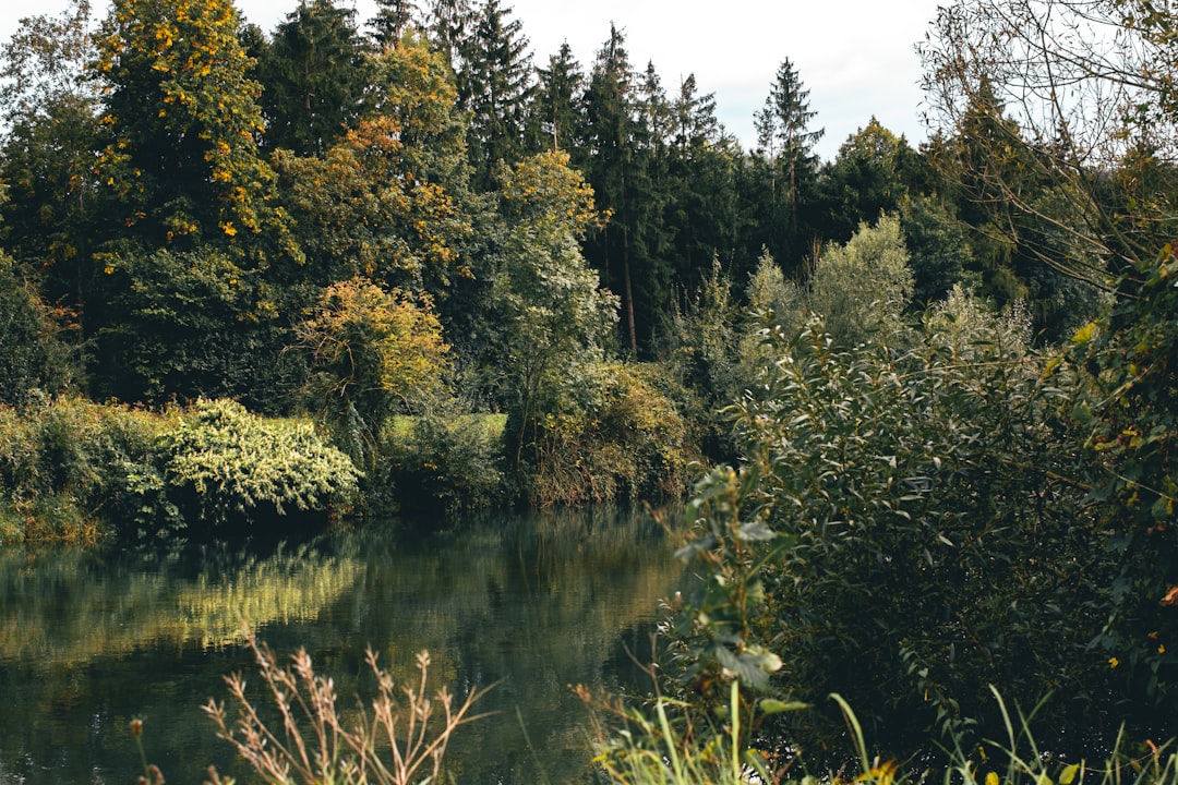 Nature Reserves in France