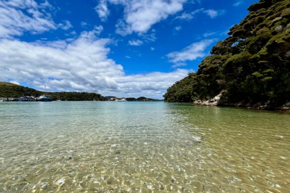 Beach at Abel Tasman National Park