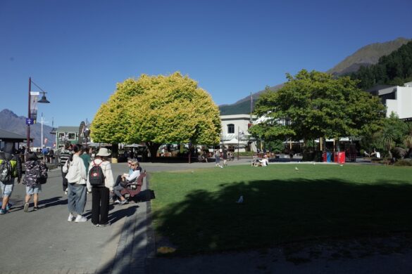 Wellington arts scene