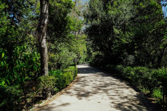 Beautiful hiking trails in the nature of Sintra.