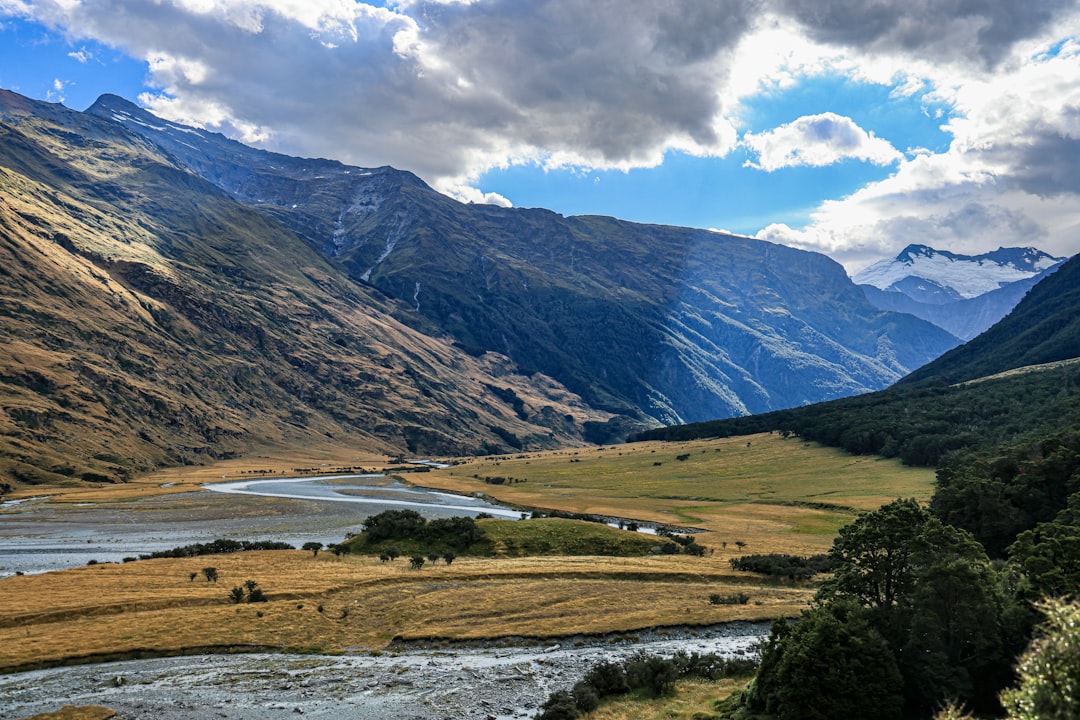 New Zealand landscapes
