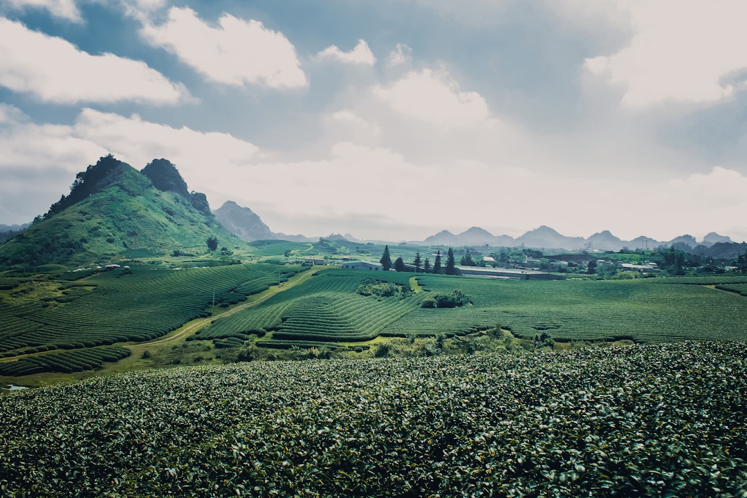 Majestic landscapes showcasing the beauty of the UK.